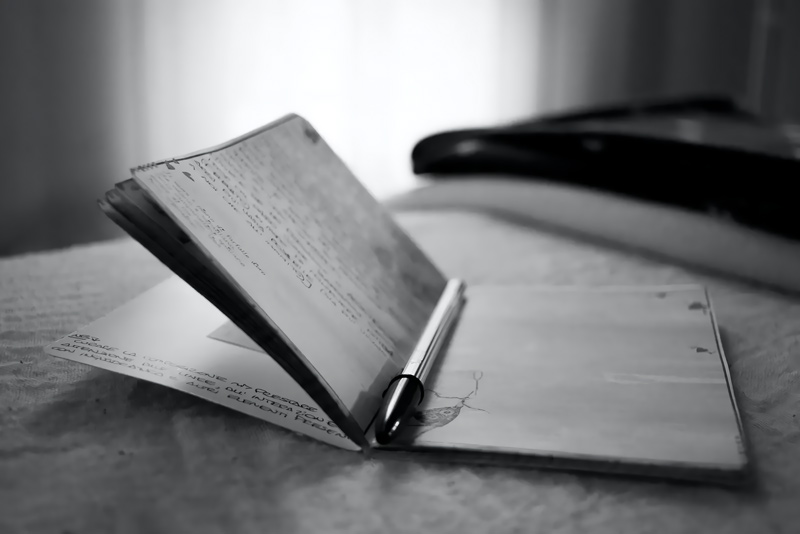 melike şimşek yazıları